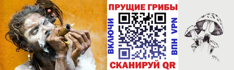 Купить  Горячий Ключ  Псилоцибиновые грибы GOLDEN TEACHER 